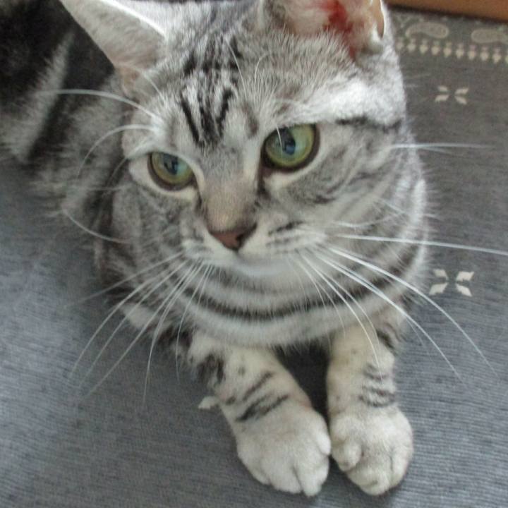 F0697bc4 94be 4ab0 b0c3 87d7a13206e5 1580039944024