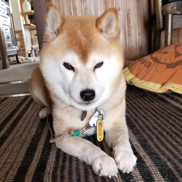 F069af46 07a9 406c 96f5 95ec77845497 1624497594950