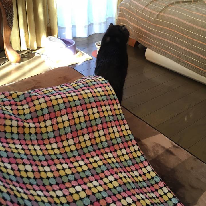 F069b6c4 f4e0 429b b592 cc0930fbd48d 1577753981735