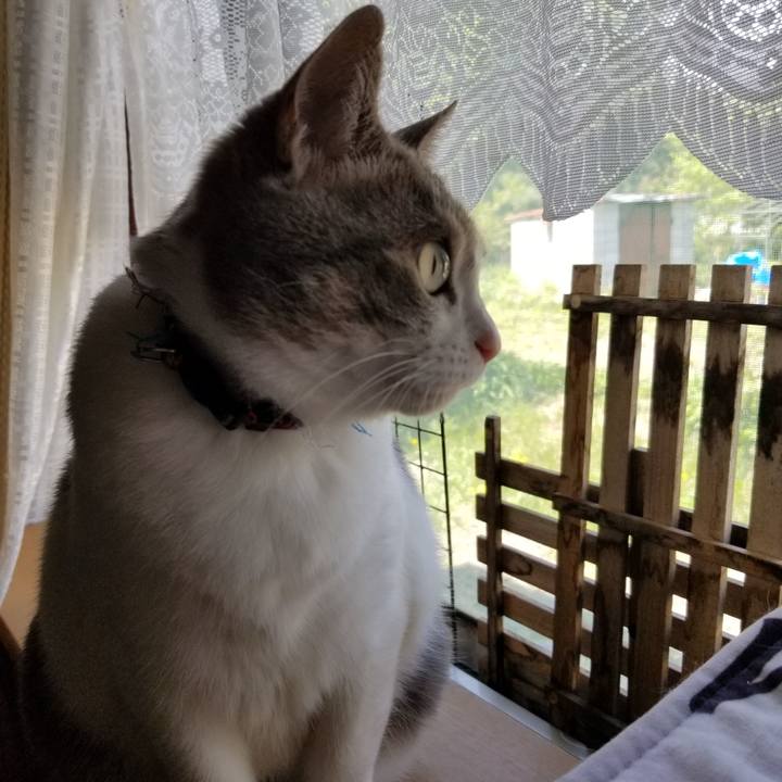 F069bc86 eb3e 46a5 a1c5 78ceac058179 1684592086785