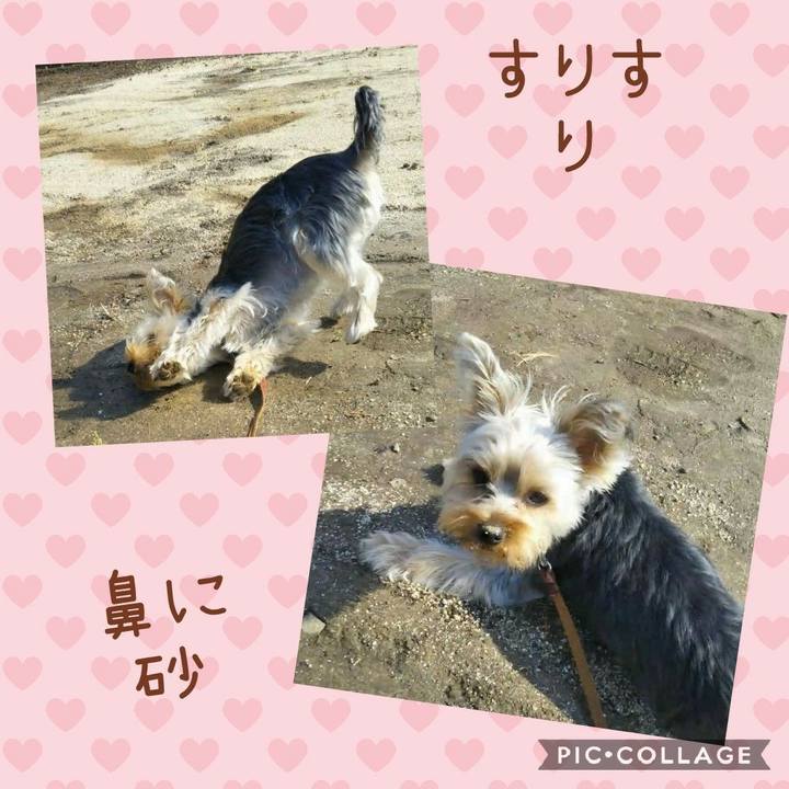 F069df9c 60a6 41c0 a699 780367c67598 1552099310198