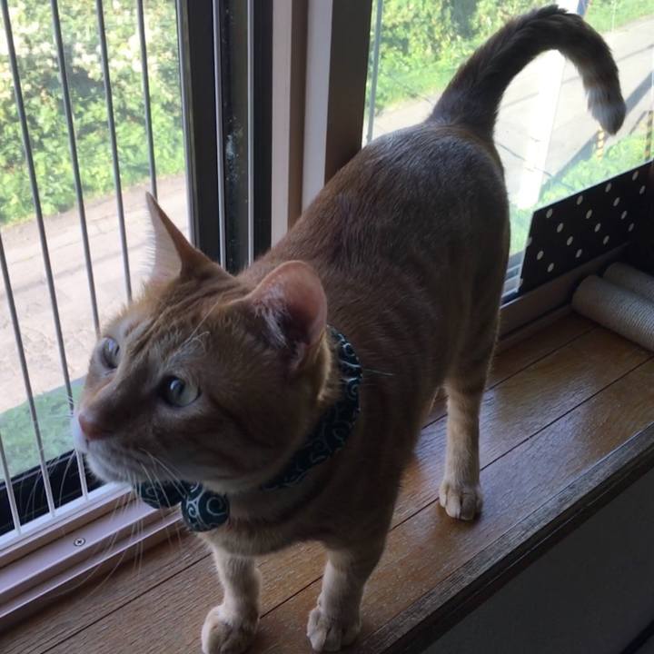 F06a0acf 9e69 40ad abae 695ddad16458 1536141273131