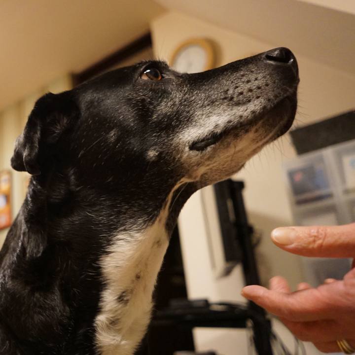 F06a1188 a15a 4a23 8066 b68197d522c1 1768734451237