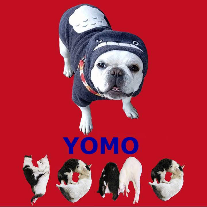 F06a2e58 7775 4d38 a6d5 dfccb391a6d3 1667514862250