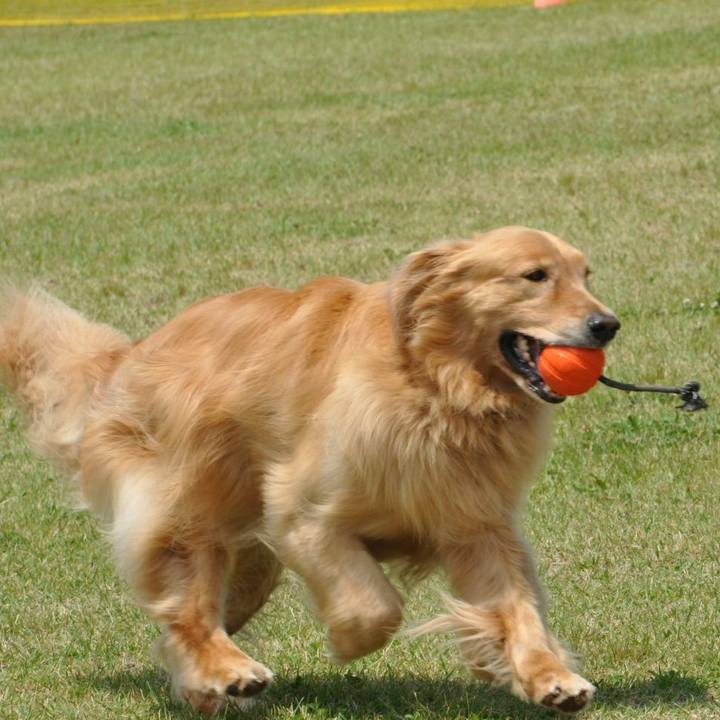 F06a35c9 1174 4c02 b606 79b9ee85f22f 1580354663924