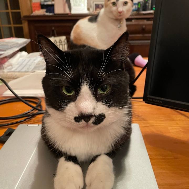 F06a45fc 2239 4321 8dc6 2f6e1cd67587 1675761752478