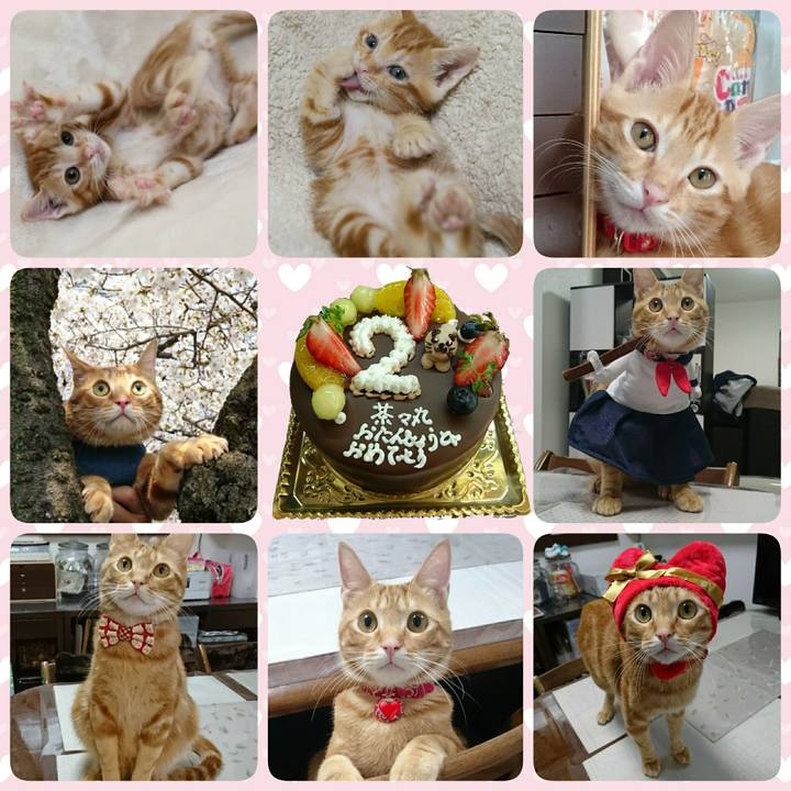 F06a4c6f e0da 46e8 b2ac 31b2e2a9fd87 1527851158610