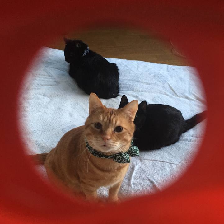 F06ac3de 9759 4592 8495 cf2437880a40 1549146520077