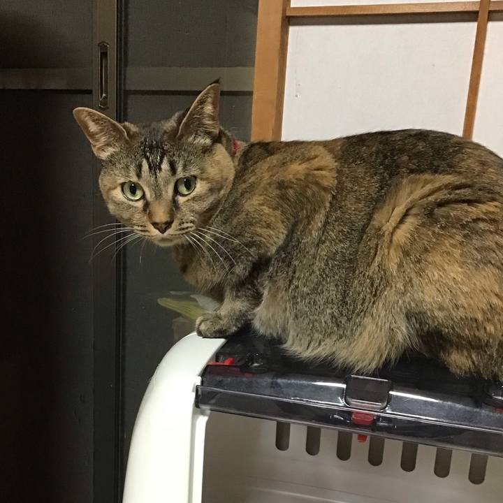 F06adb87 7b6b 4b0d 9b9c 54323925a227 1685621788297