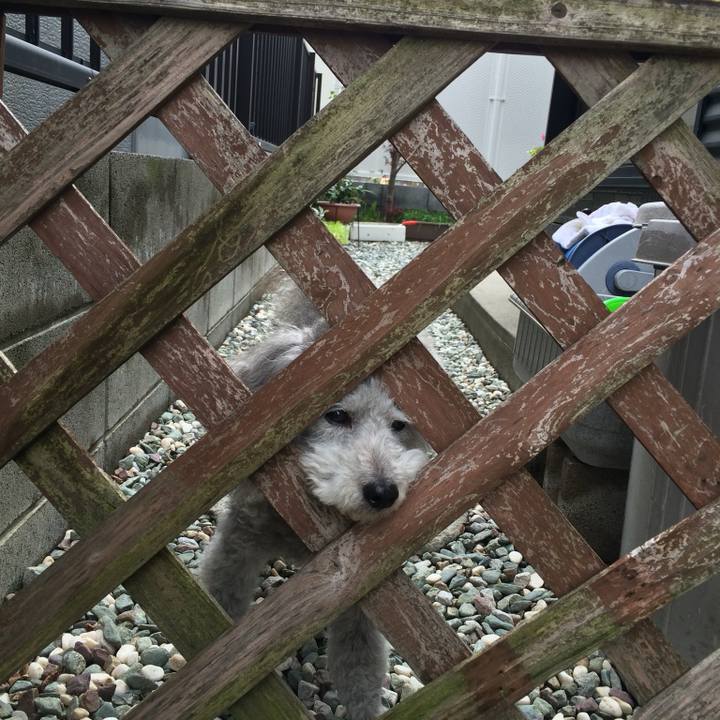 F06b2cce 88c5 4f07 906a 9bc27025ef68 1757983319808