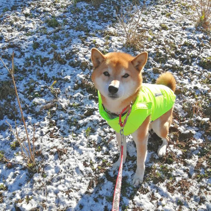 F06b2f8b 335c 4a22 af1f 0279e93458cd 1674875715260