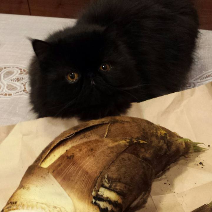 F06b349b 4b99 4d3f 9b7d 30bf5c70e2b9 1523182549576