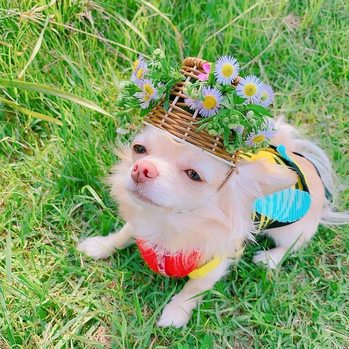 F06b4e37 bd4b 4536 80f1 0bd3b1ca0b51 1621945654610