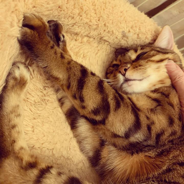 F06b5c5d 25d9 414d bc8c 40a44e758628 1604876832007