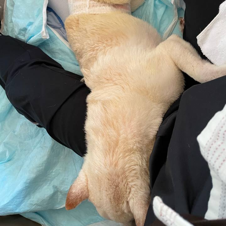 F06b7180 83b3 45f1 8467 8c35755d3262 1665455713608