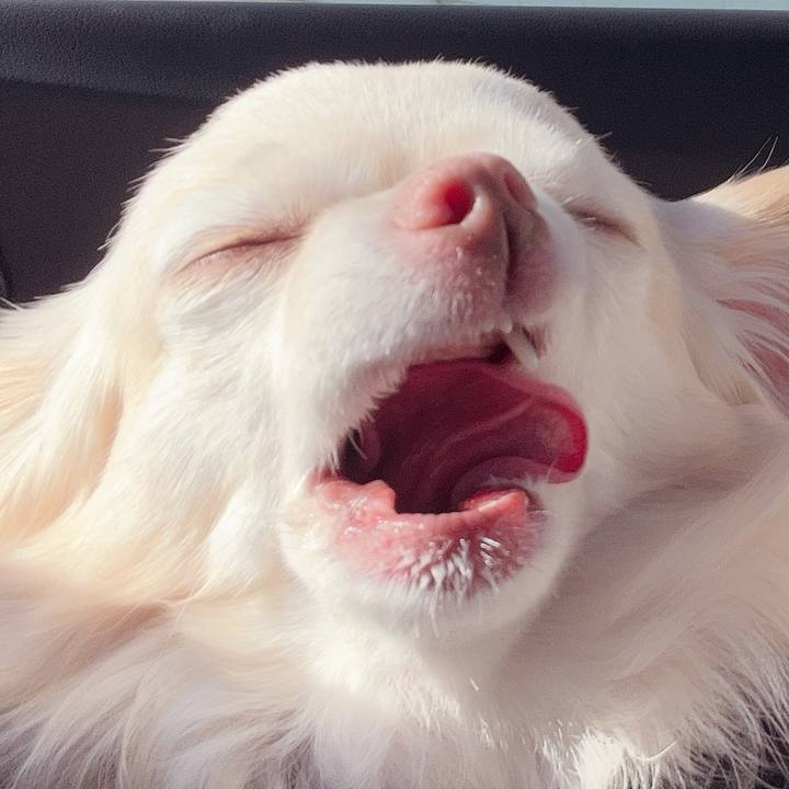 F06b7860 c75a 473d 9cf5 e74366b737ce 1737167242656