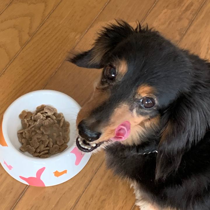 F06b92c8 6e53 461e a6e0 7402aa93c636 1557438559905