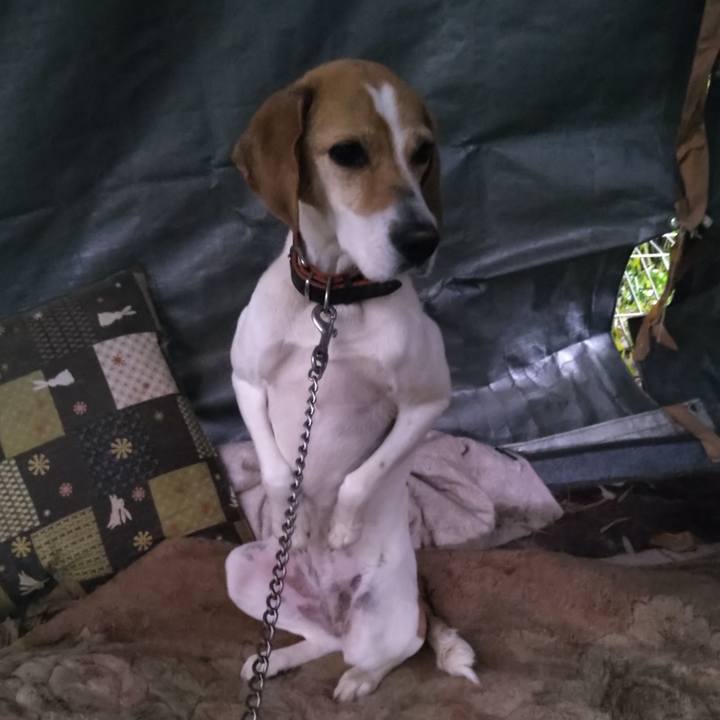 F06b9e16 be32 4bf2 b6a8 5cd6089e9a3e 1652443779414