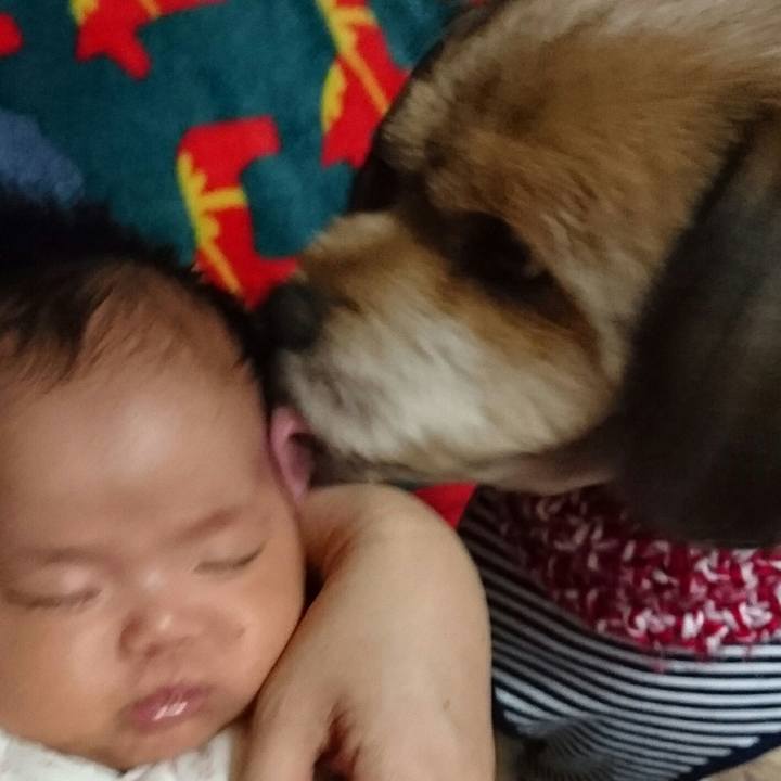 F06bc731 7ab0 45cc aedb ba0a7c4e1e58 1542201756986