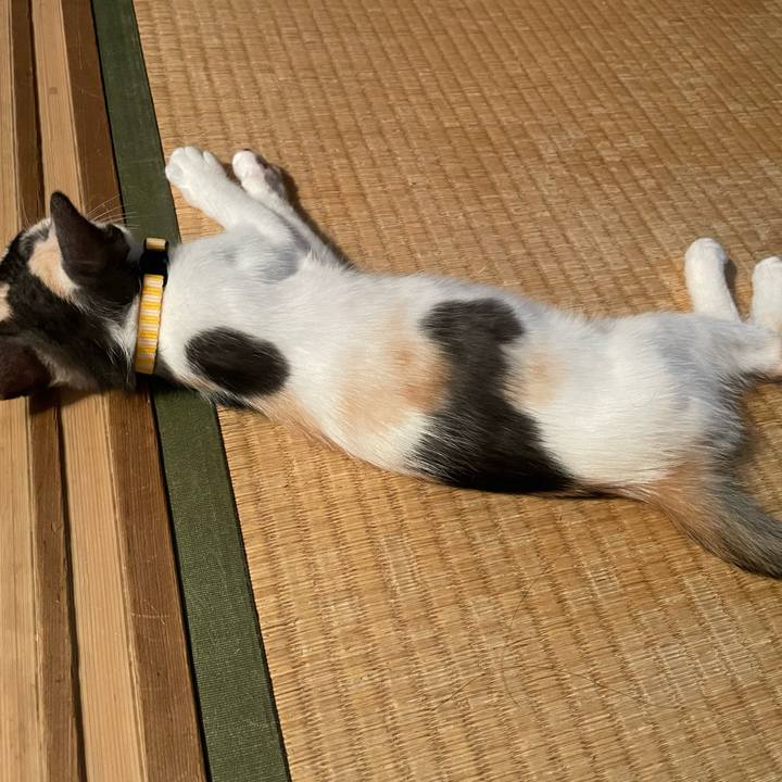 F06be7b2 2db8 4060 8f38 3f4f3989305a 1658183594978