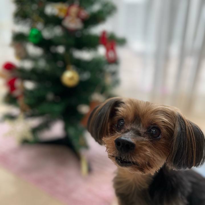 F06c0314 d7bf 45de 93b2 db13ae873a25 1700887670641