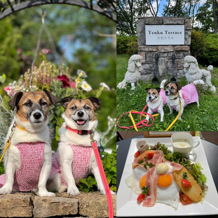 F06c110c b8ed 443b 9332 aca90b735a32 1687698693284