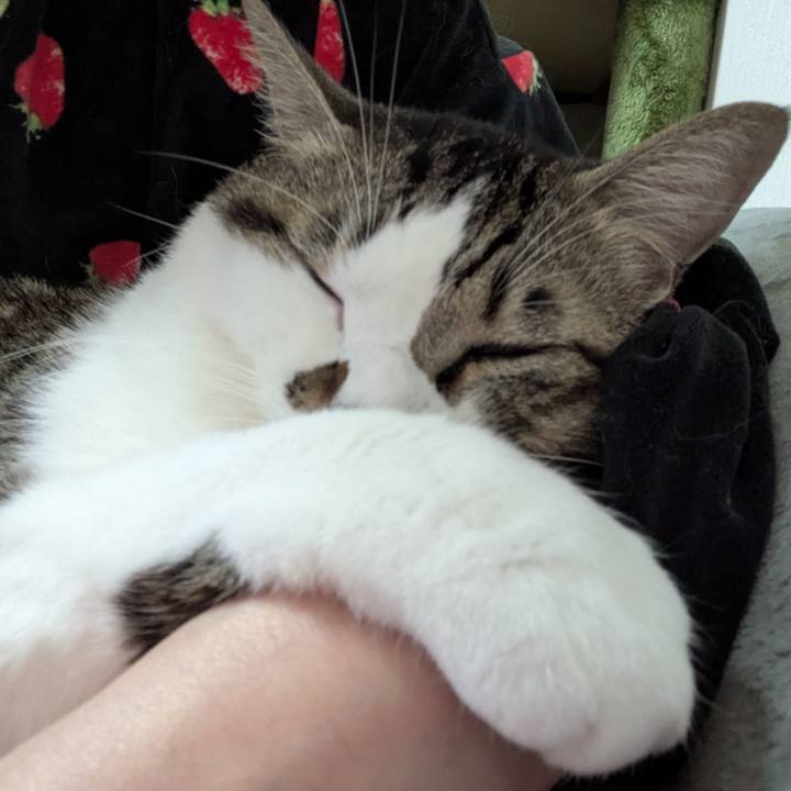 F06c20d9 41e7 4021 a907 76c5ea03b79f 1761034337349