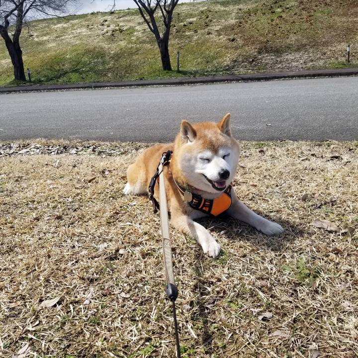 F06c3658 66d9 40ac 8f96 8214ead398ba 1711685346353