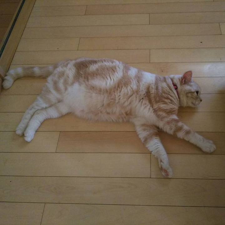 F06c489a 2dd6 4c57 b019 df98ab1f2cb5 1531956807669