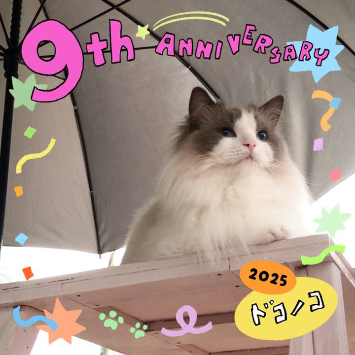 F06c5727 ad98 4045 8a3e f5b1f9c5832d 1749203417205