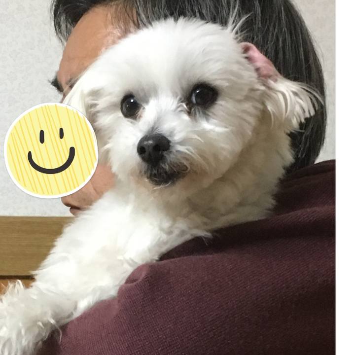 F06cc447 6c75 49c0 bdb3 7d2d701ce543 1581600896475