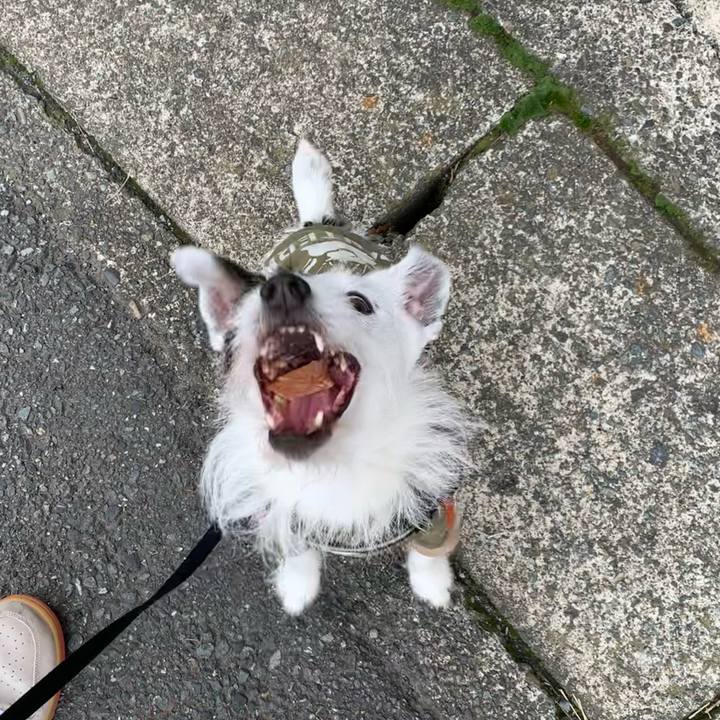 F06ceedf 066d 4b57 b4b3 c792a39110bb 1711586012546