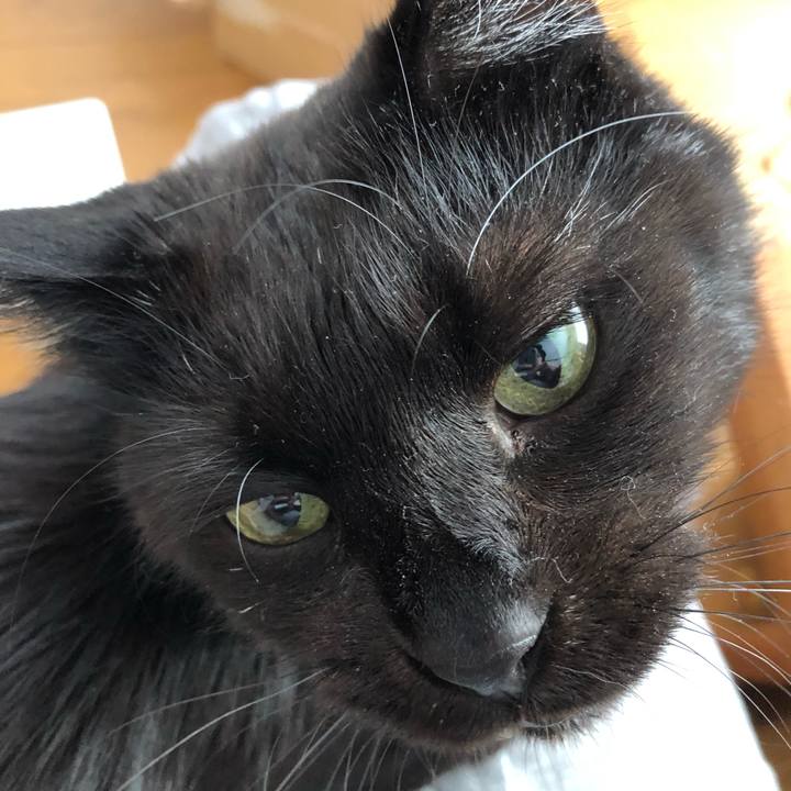 F06d0b5d b76b 4624 98b8 4e1fa95c4464 1594329583891