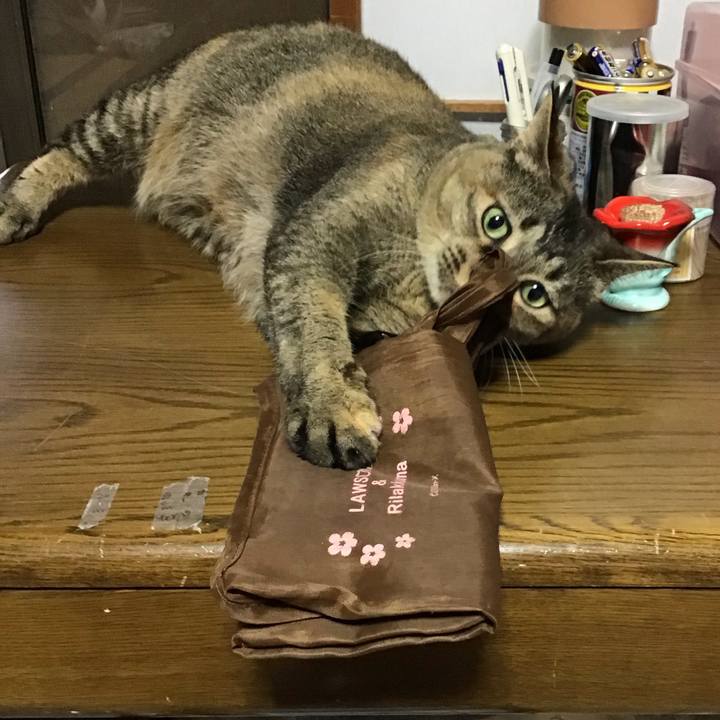 F06d2a71 f541 48d6 a375 d830771ad708 1722943044556