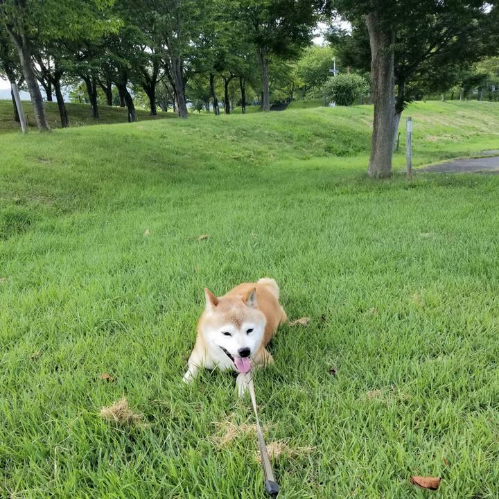 F06d5d43 1ee5 42fd 9ed6 fc7307fc10ca 1691051960089