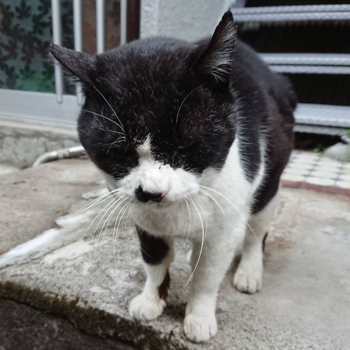 F06d7509 9ce0 442a 86b9 6a097b616839 1646727979807