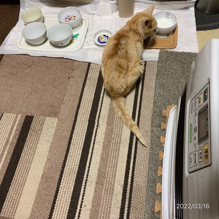 F06dad6f c050 474f 8108 08b15b82bc43 1647436933996