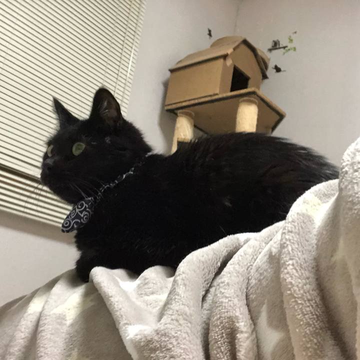 F06db8fc 7f18 4008 8f95 e3270136dd7e 1578059436569