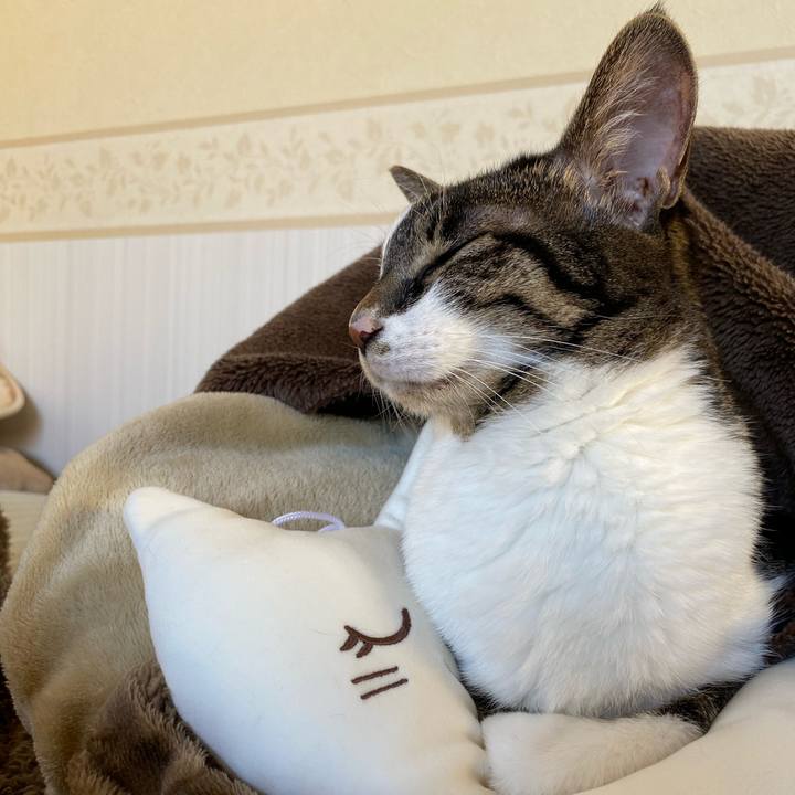 F06e0077 3050 444f 8551 c5a9ffd03b79 1672278177153