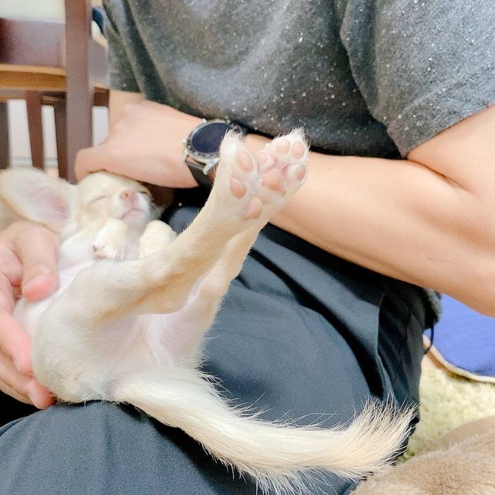 F06e1925 c0d3 4a17 894e d6597d806bde 1592861166405