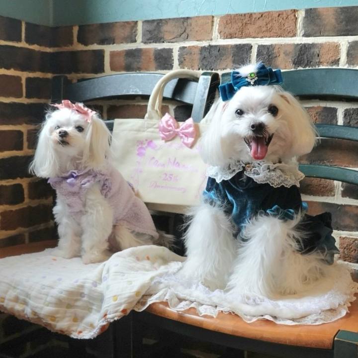 F06e283b 7e1d 4d0f 85dc bc1e70685496 1737281610479