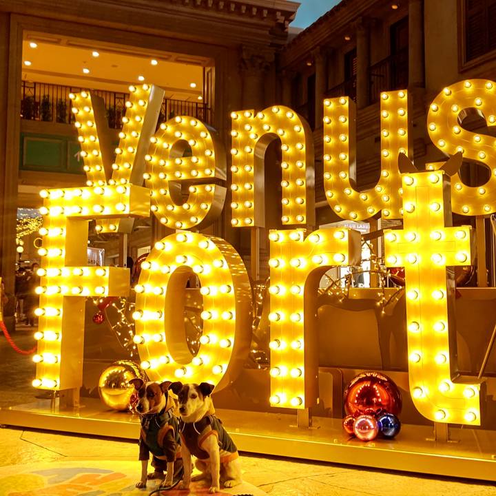 F06e5fa4 8798 415b 9feb 183cf381eb2c 1645950383782