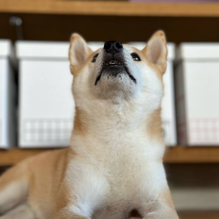 F06e6017 97c6 4740 97f4 77467b60a10b 1691455298320