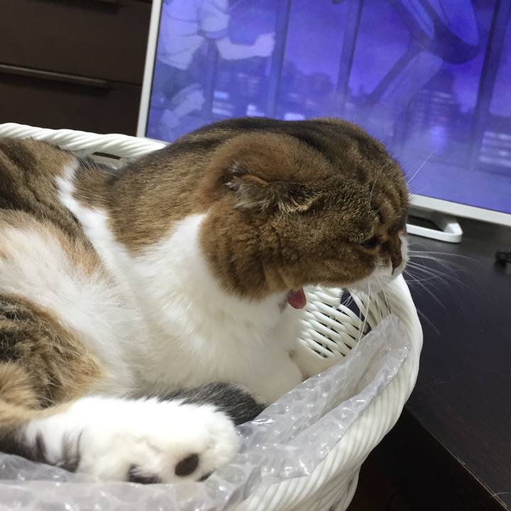 F06e68e7 5de4 47f3 b61f 8e6bb0122108 1510571102870