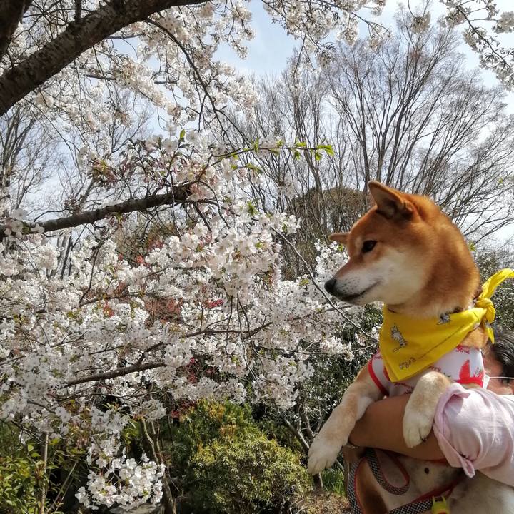 F06ea788 281e 476f 844e b1a9cf04226d 1616842119192