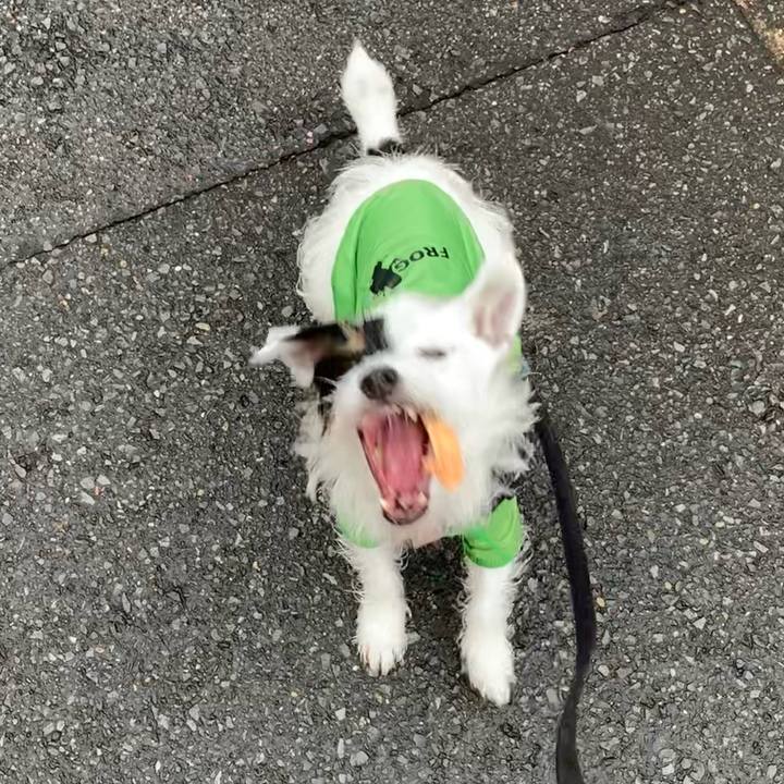 F06ebb3d a35f 44cf 8bdb 1fdd75c3db73 1657008976222