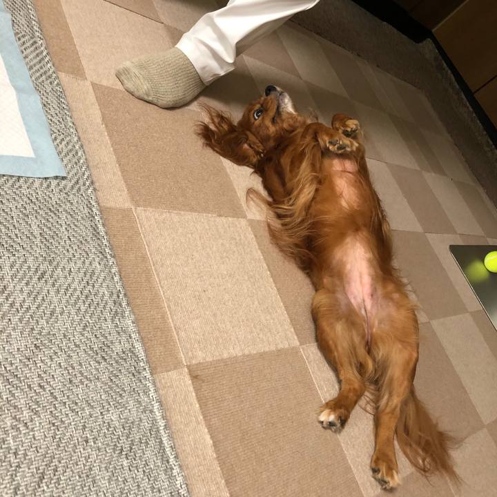 F06ece37 4bde 454a 83f7 9b9d86df5014 1599776647670