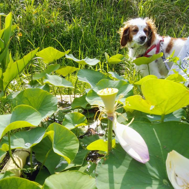 F06ede49 9198 4d9a 9280 df0d56e74f67 1561981505378