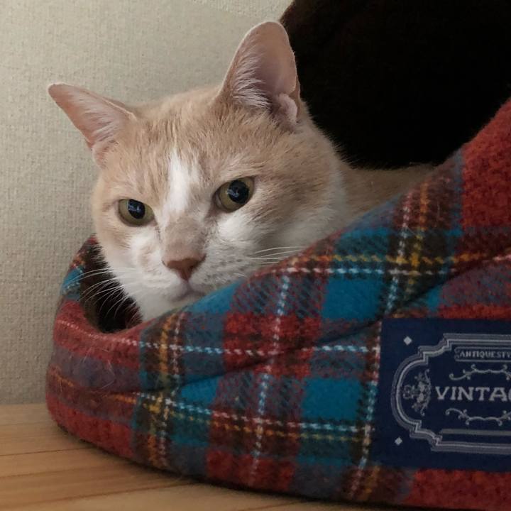 F06ef5b8 a2d6 4b54 ad52 cb23468a8f20 1529276755012