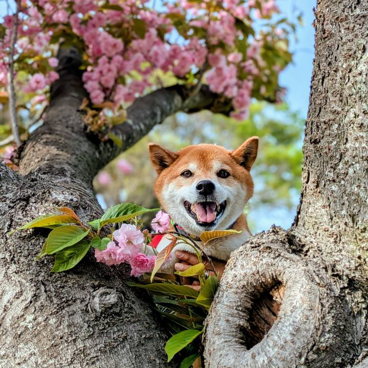 F06eff24 0fd4 4225 9655 2672481a731e 1745407420388